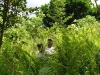 guaconejoago06 - 50
